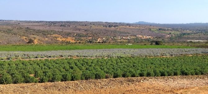 PDF) Rota das Frutas Vermelhas - agricultura familiar e turismo de  experiência na Chapada Diamantina – Bahia - Livro de resumos da XIV  Postgraduate Conference ESGHT-ISCAL 2023