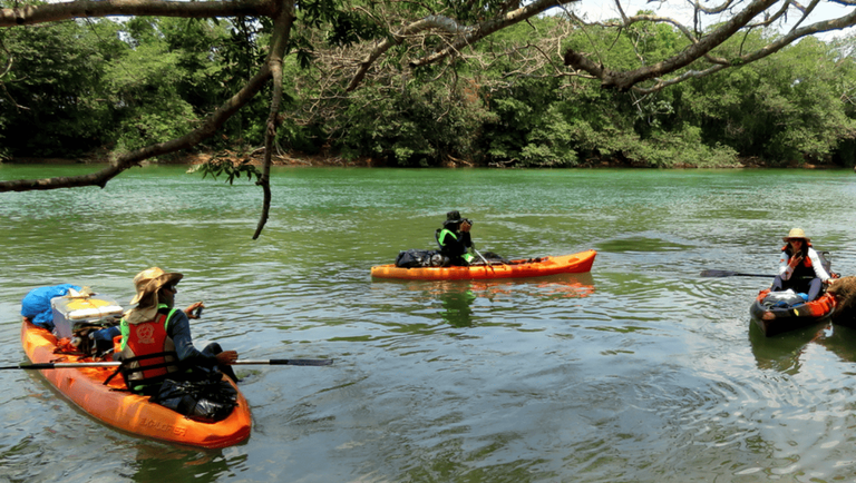 Ecoturismo na Rota dos Pioneiros, a maior trilha aquática do Brasil