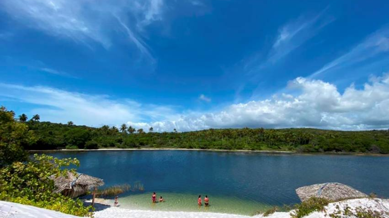 Primavera em Baixio (BA): o despertar da natureza na Costa dos Coqueiros convida a uma imersão sensorial