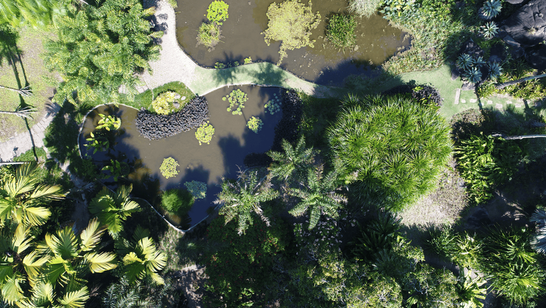Conheça o Sítio Burle Marx, primeiro jardim tropical modernista reconhecido pela Unesco