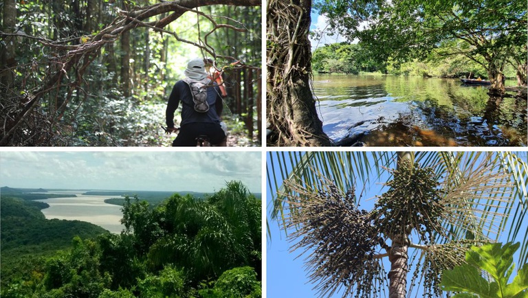 Trilha Amazônia Atlântica impulsiona ecoturismo no Pará