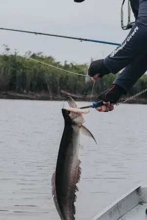Turismo de pesca esportiva projeta R$ 50 milhões no Tocantins