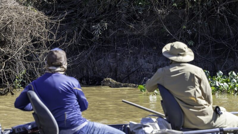 Brasil promove turismo de natureza e aventura no Canadá