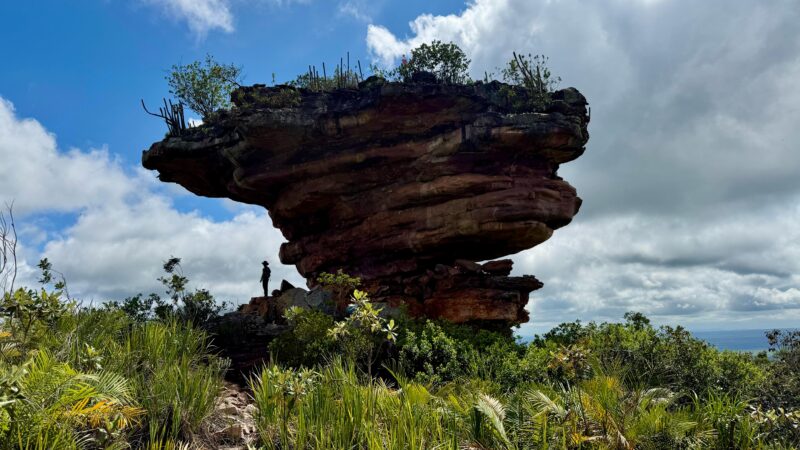Refúgio de Vida Silvestre Serra da Chapadinha é criado na Chapada Diamantina (BA)