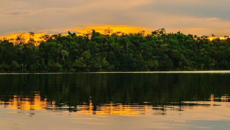 Turismo de natureza: Patrimônio Mundial da Unesco protege mais de 6 milhões de hectares de floresta na Amazônia Central